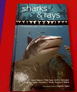 SHARKS & RAYS