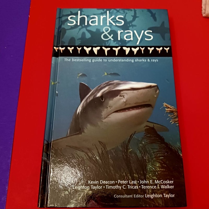 SHARKS & RAYS
