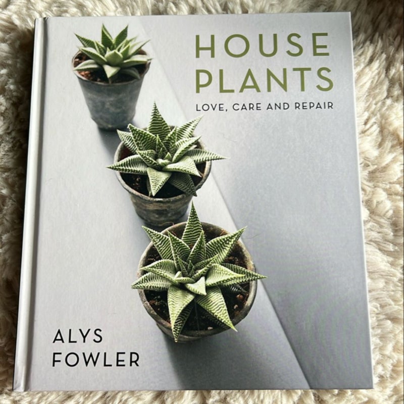 House Plants