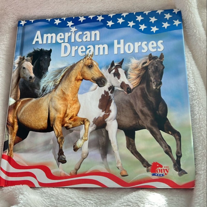 American Dream Horses