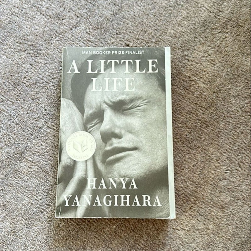 A Little Life