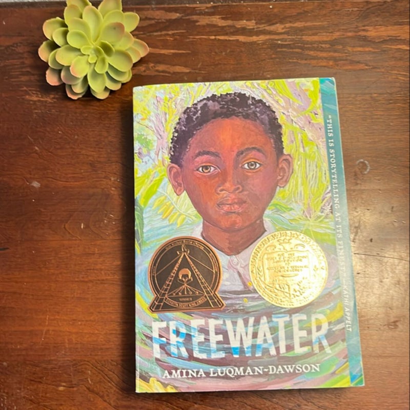 Freewater (Newbery and Coretta Scott King Award Winner)