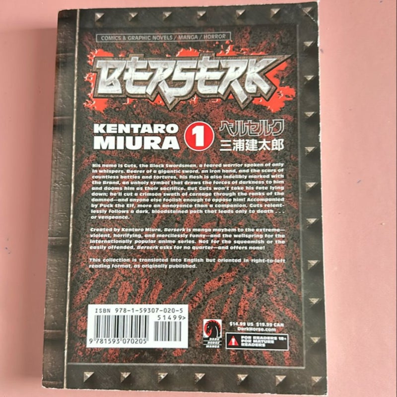 Berserk Volume 1