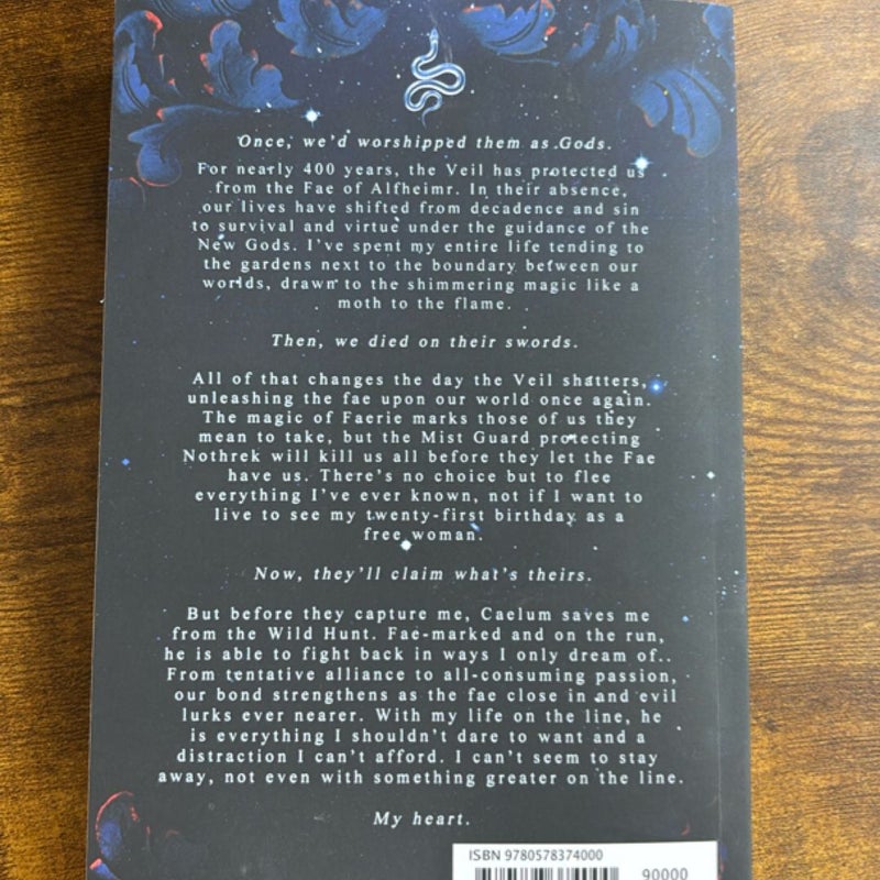 What Lies Beyond the Veil