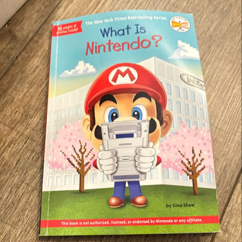 What Is Nintendo?