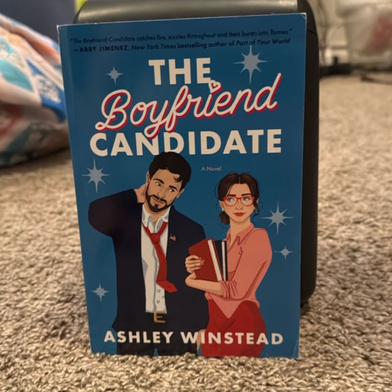 The Boyfriend Candidate