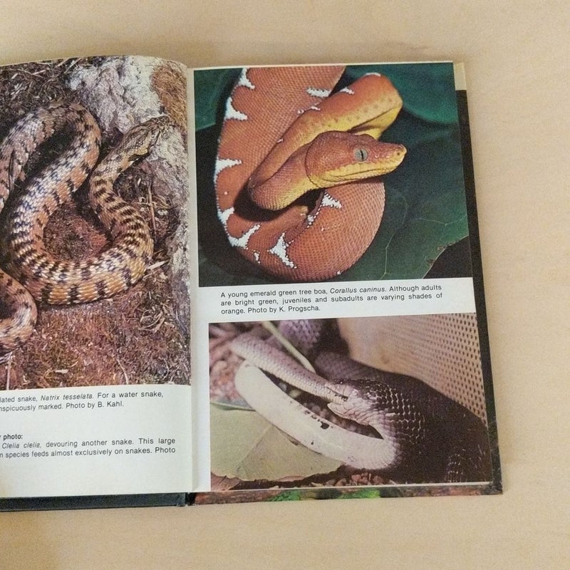 Boas and Other Nonvenomous Snakes
