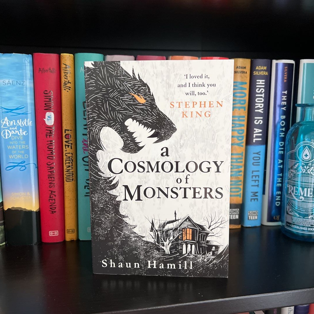 A Cosmology of Monsters