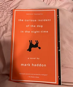 the curious incident of the dog in the night-time