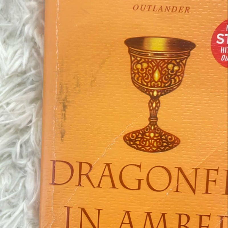 Dragonfly in Amber