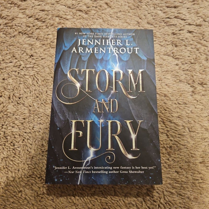 Storm and Fury