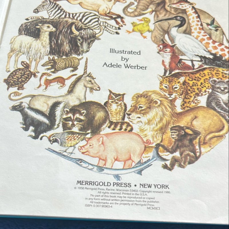 Animal Alphabet