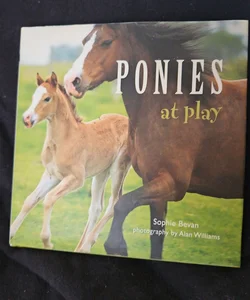 Ponies at Play