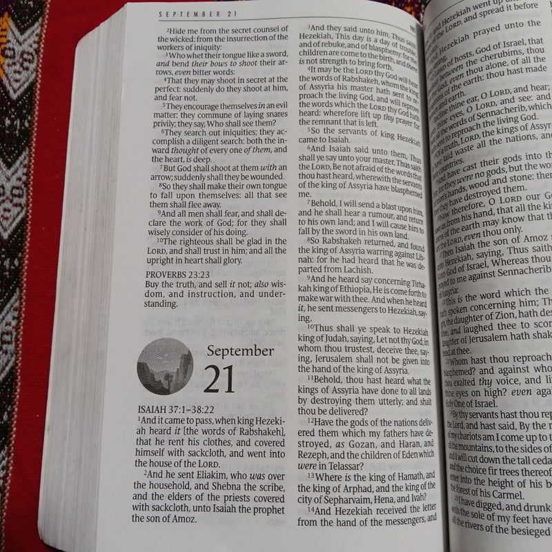 The One Year Bible A1
