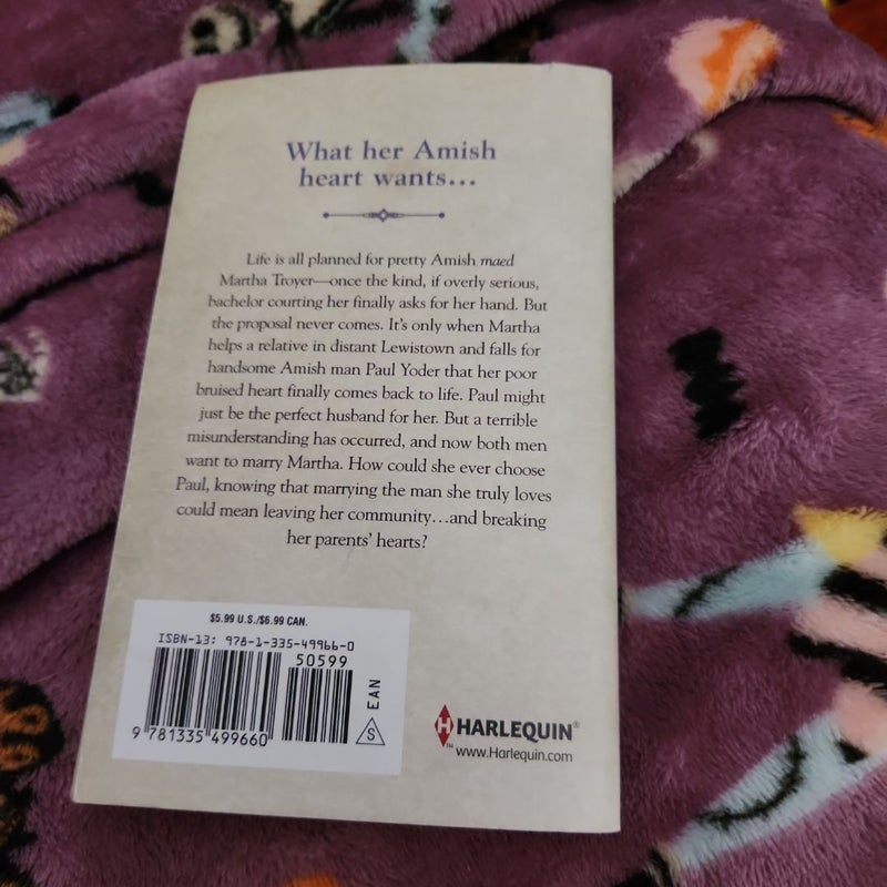An Amish Secret