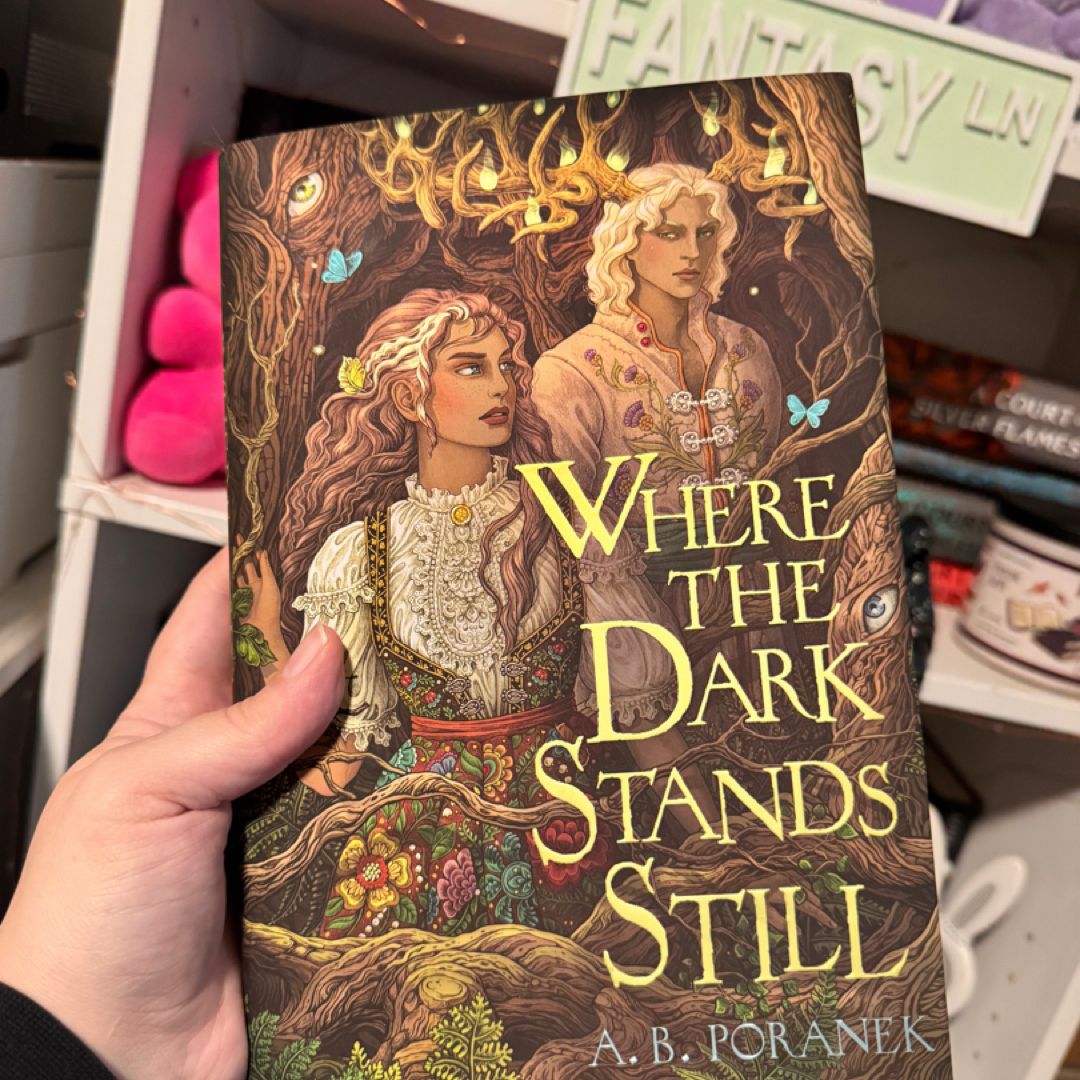 Where the Dark Stands Still