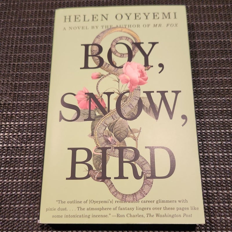 Boy, Snow, Bird