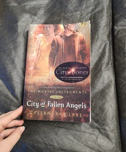 City of Fallen Angels *out of print*