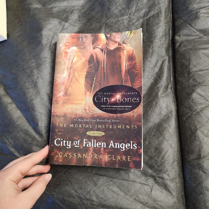 City of Fallen Angels *out of print*