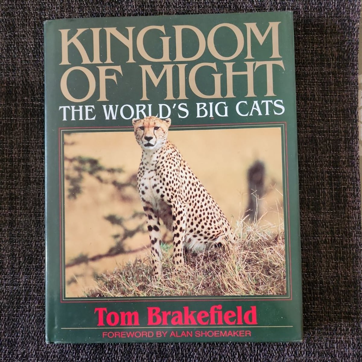 Kingdom of Might by Tom Brakefield, Alan Shoemaker