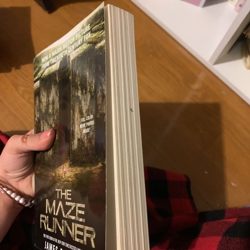 the maze runner 