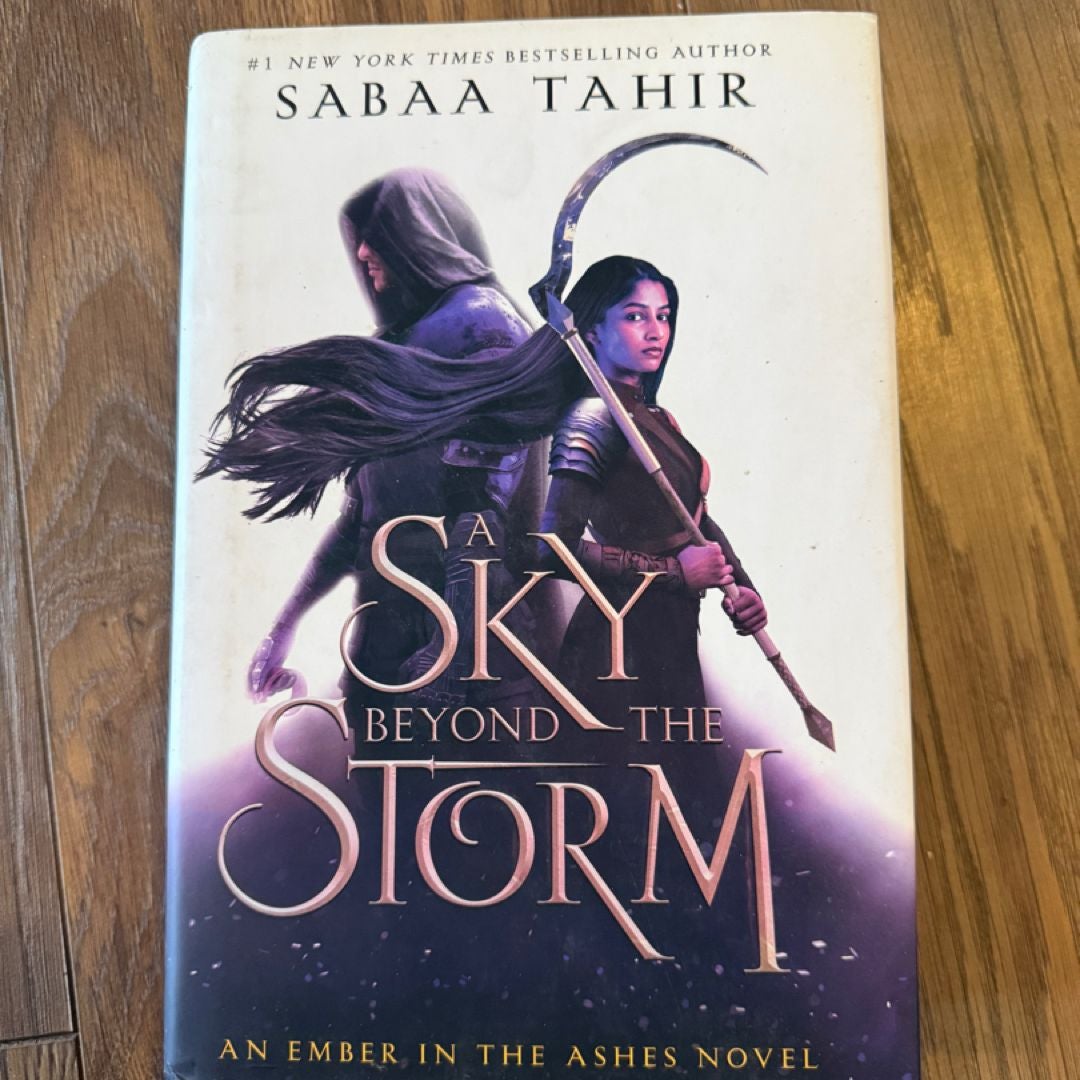 A Sky Beyond the Storm