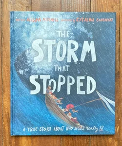 The Storm That Stopped