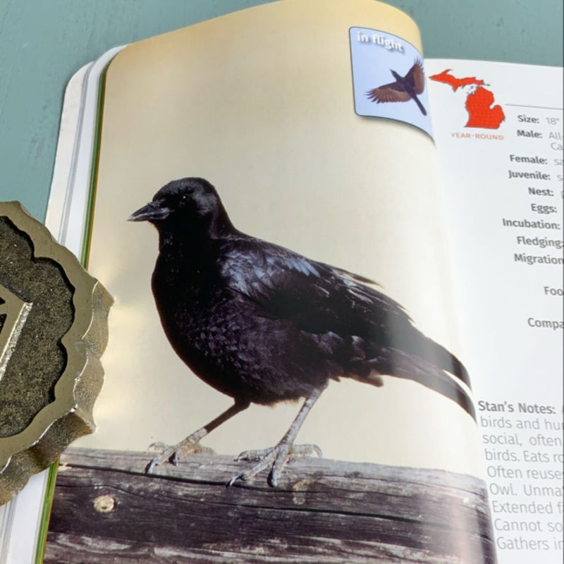 Birds of Michigan Field Guide