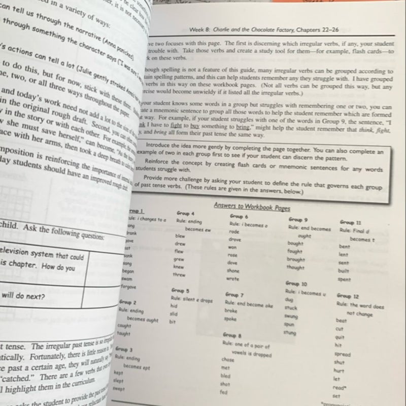 Lightning Literature & Composition Grade 3