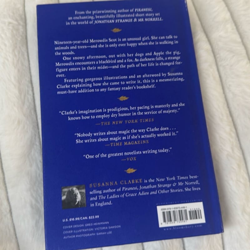 The Wood at Midwinter