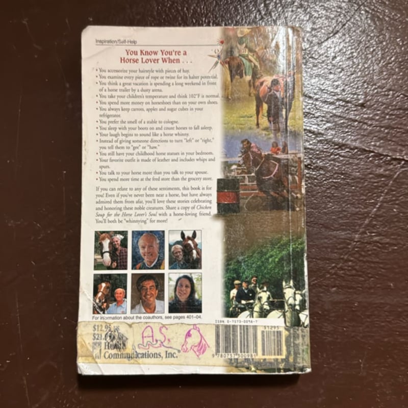 Chicken Soup for the Horse Lover's Soul