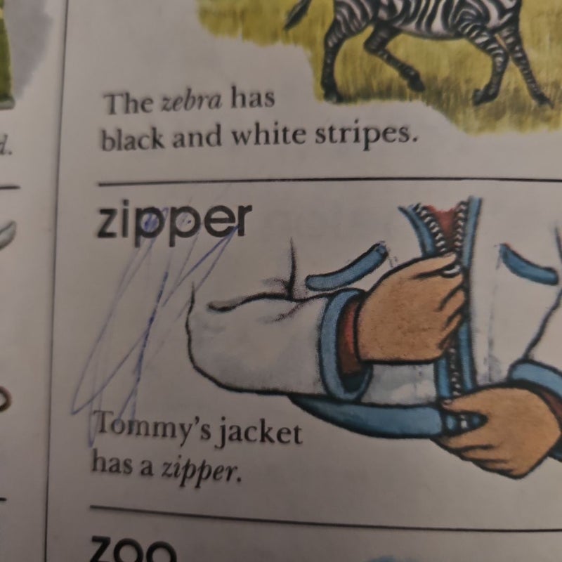 Little Golden Picture Dictionary