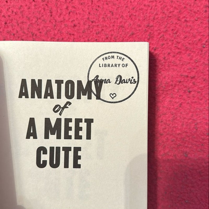 Anatomy of a Meet Cute