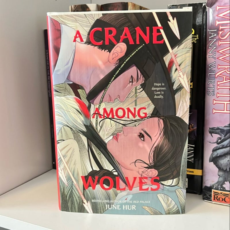 A Crane among Wolves