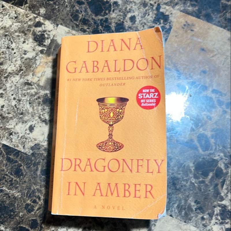 Dragonfly in Amber