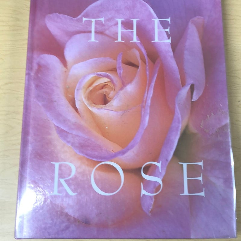 The Rose