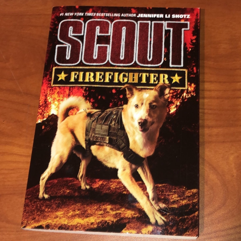 Scout: Firefighter