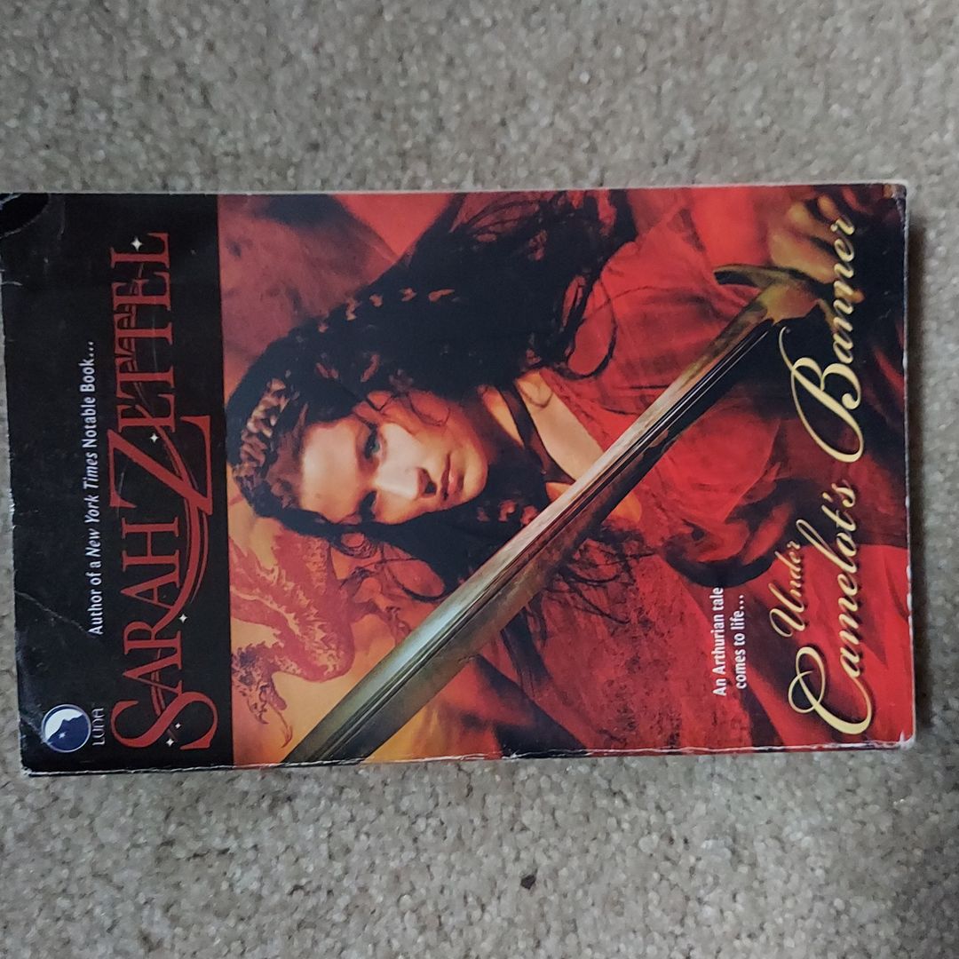 Under Camelot's Banner