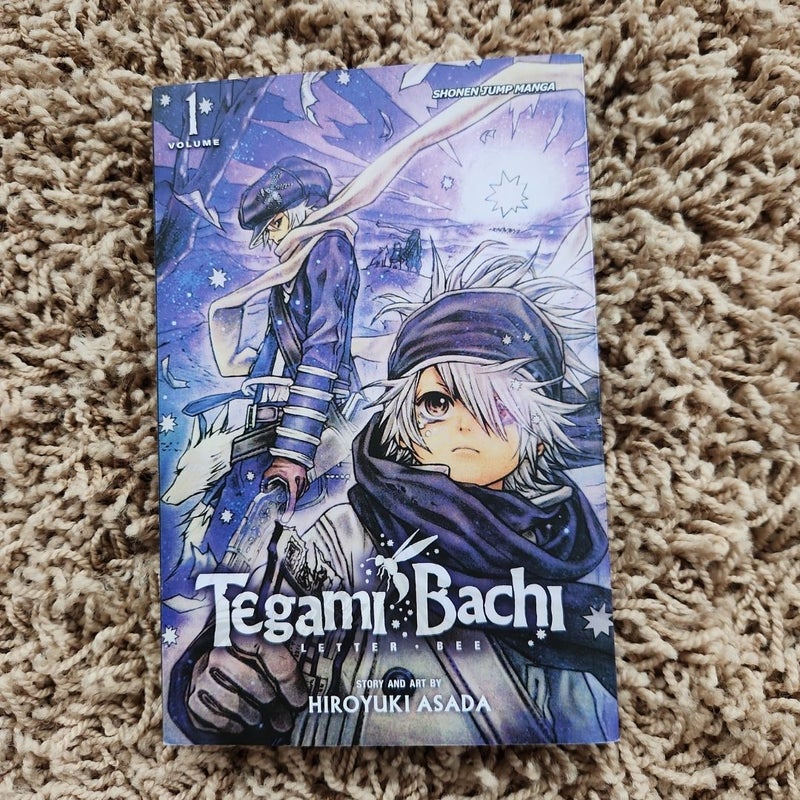 Tegami Bachi, Vol. 1