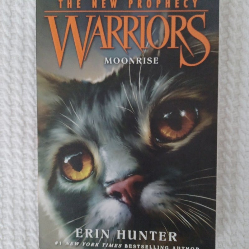 Warriors