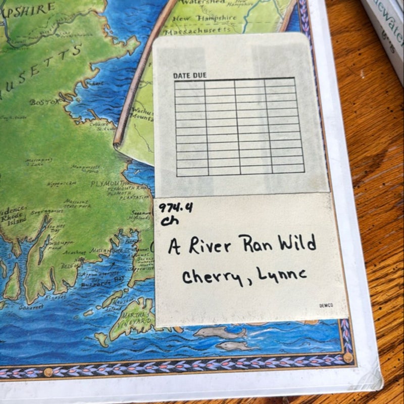 A River Ran Wild