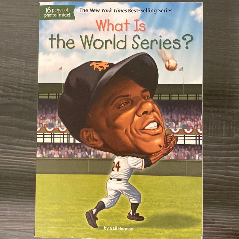 What Is The World Series?