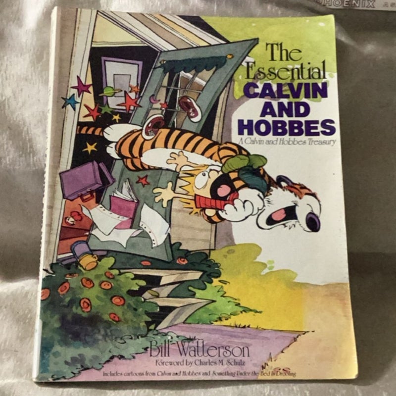The Essential Calvin and Hobbes
