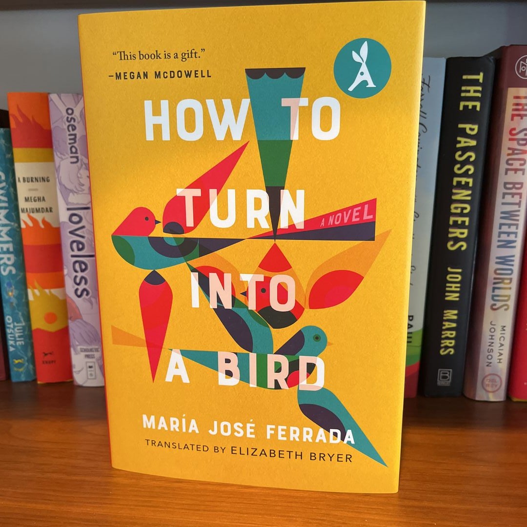 How to Turn into a Bird by Elizabeth Bryer, Hardcover | Pangobooks
