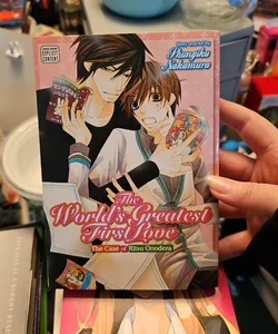 The World's Greatest First Love, Vol. 1