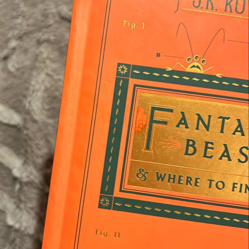 Fantastic Beasts and Where to Find Them