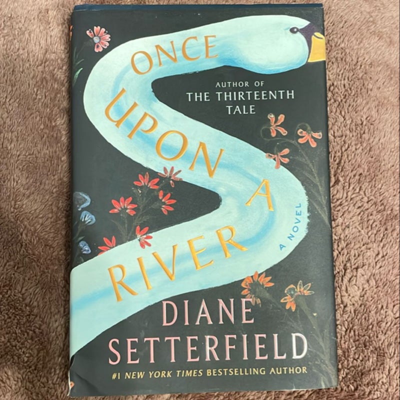 Once upon a River