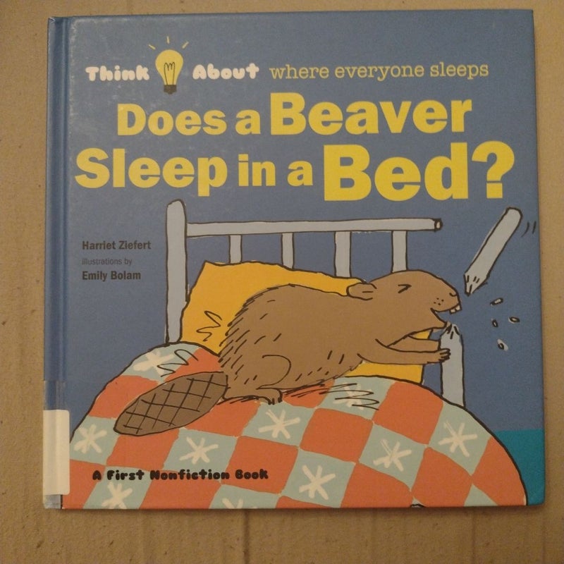 Does a Beaver Sleep in a Bed?