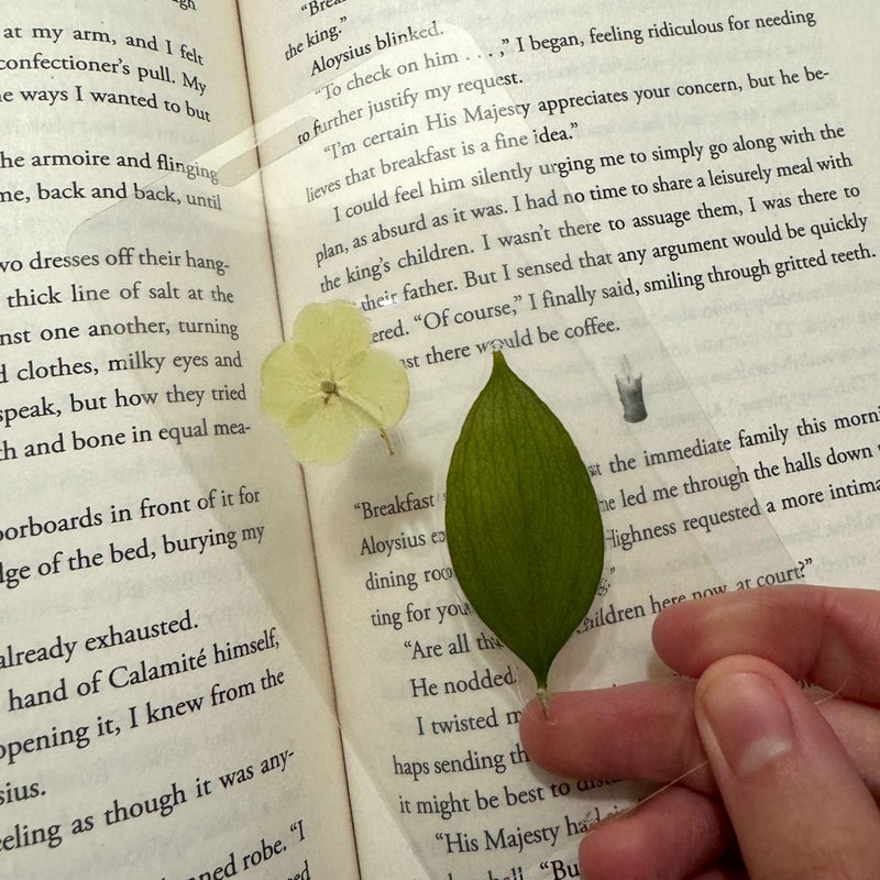 Real flower window bookmark. 