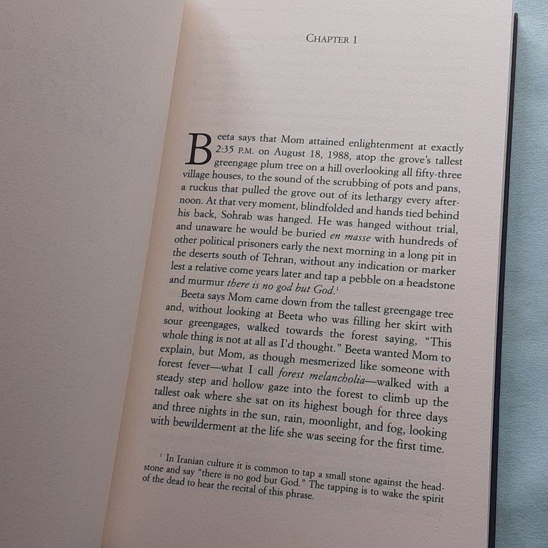 The Enlightenment of the Greengage Tree by Shokoofeh Azar